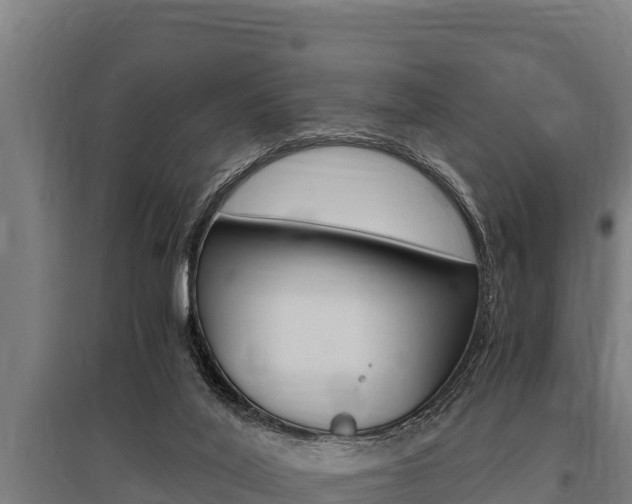 X0000096140020200801180902