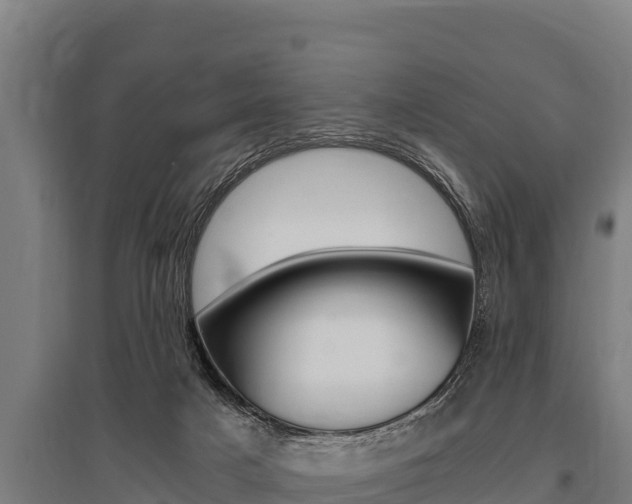X0000096140025200801180902