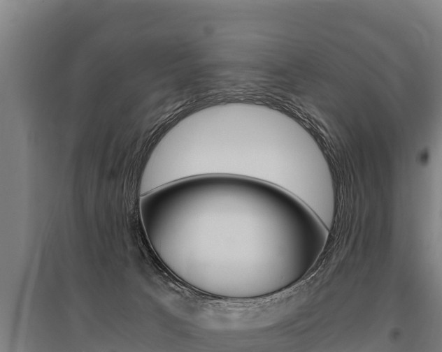 X0000096140033200801180901