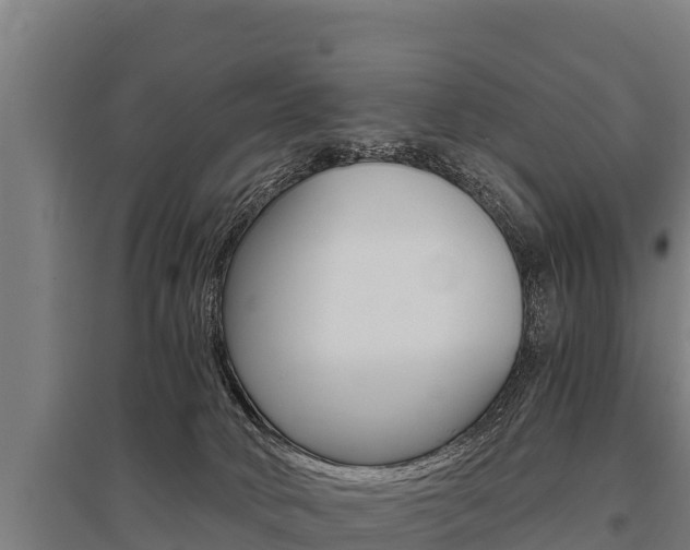 X0000096140034200801180901