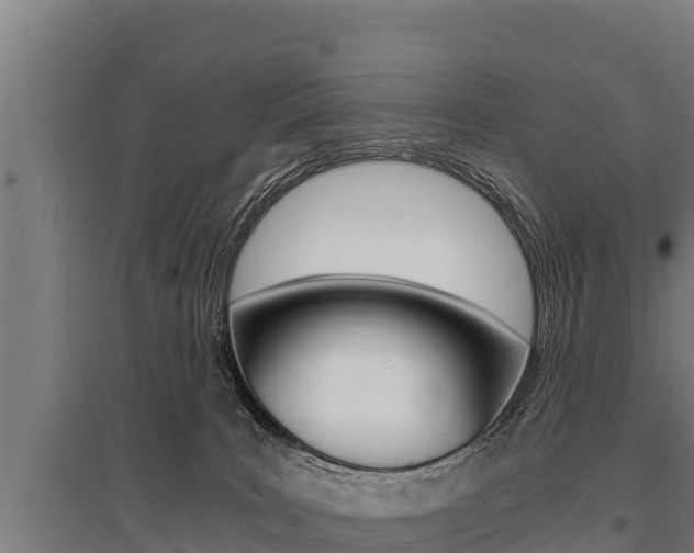 X0000096140035200801180901