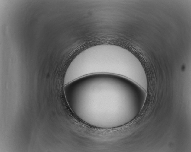 X0000096140037200801180901