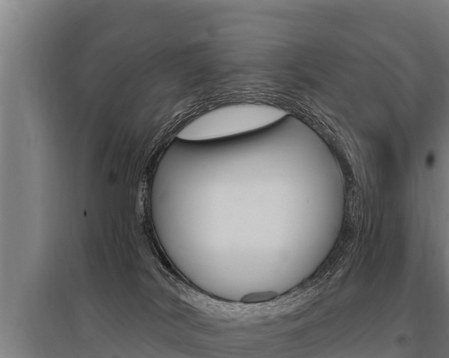 X0000096140038200801180901