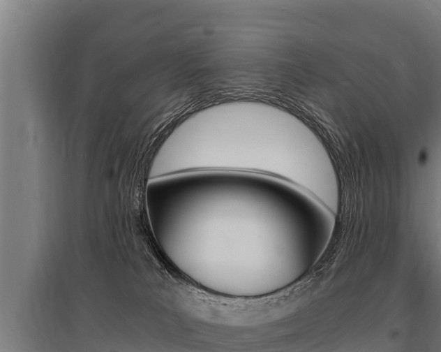 X0000096140039200801180901
