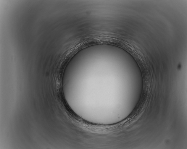 X0000096140040200801180901