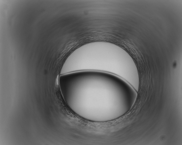 X0000096140041200801180901