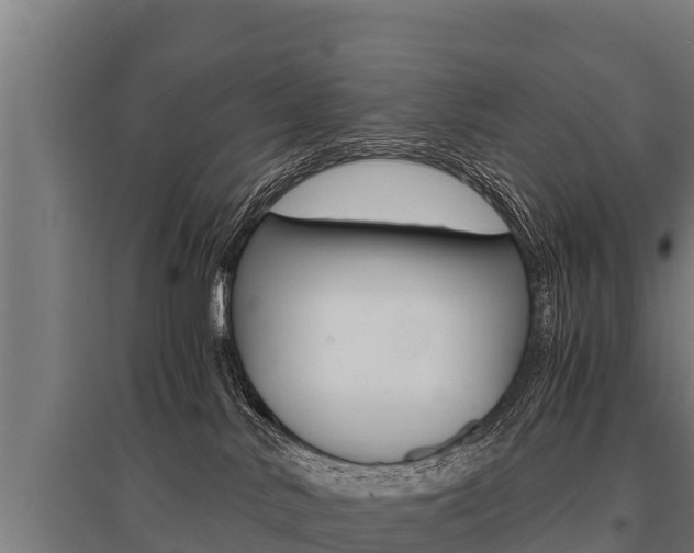 X0000096140042200801180901