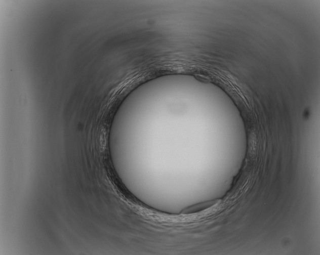 X0000096140043200801180901