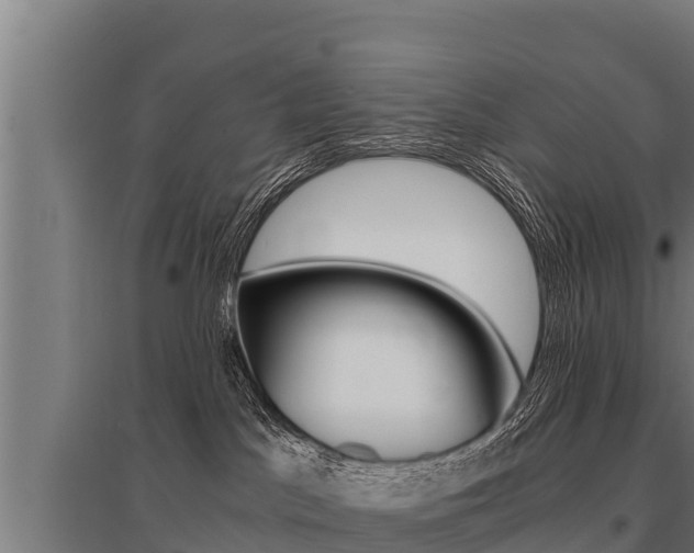 X0000096140045200801180901