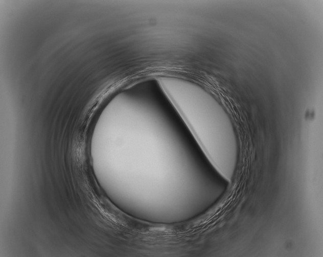 X0000096140050200801180901
