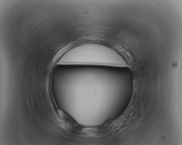 X0000096140051200801180901