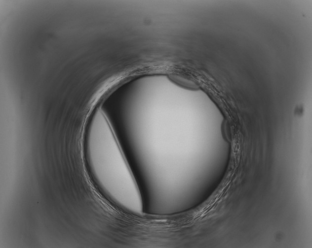 X0000096140054200801180901