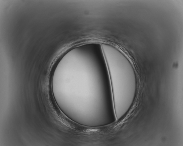 X0000096140055200801180901