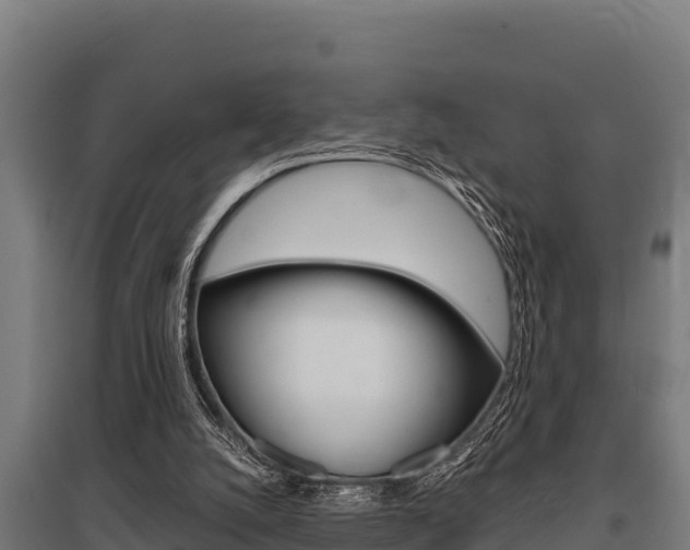X0000096140056200801180901