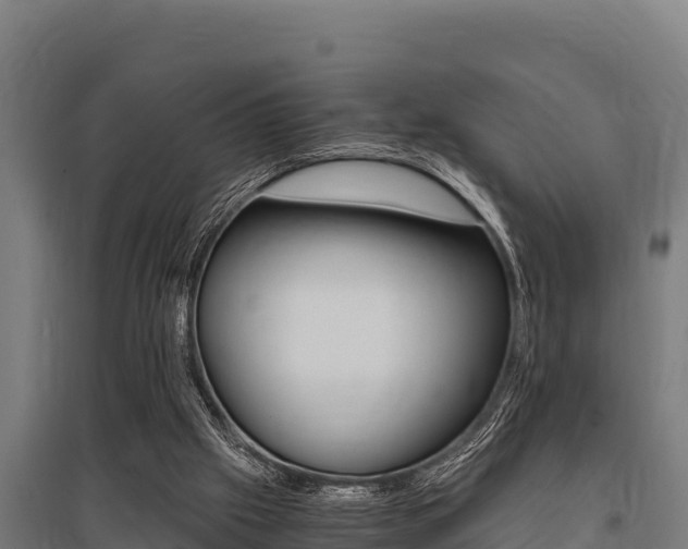 X0000096140057200801180901