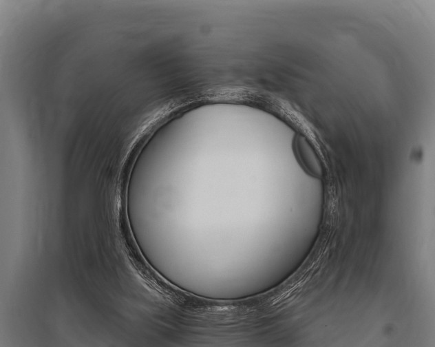 X0000096140059200801180901