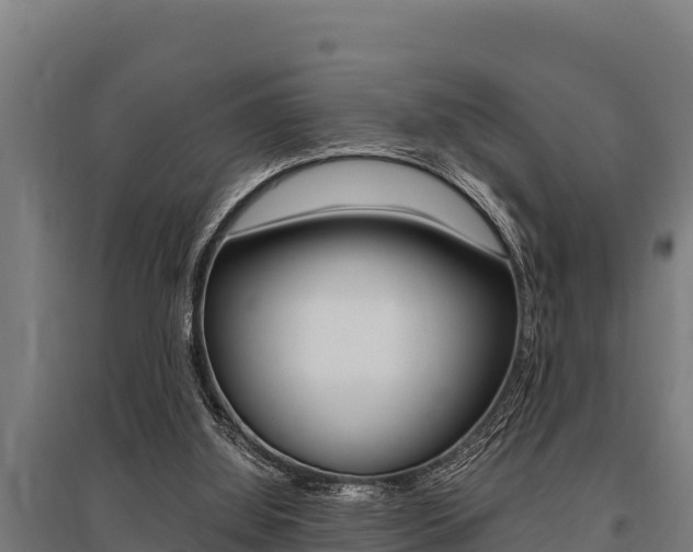 X0000096140060200801180901