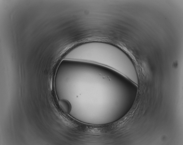 X0000096140062200801180901