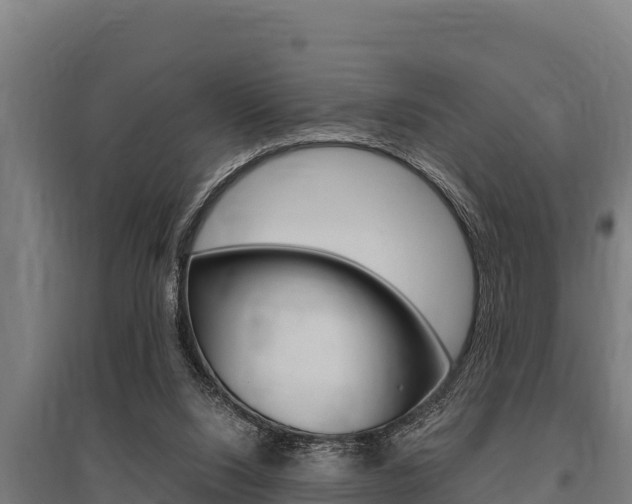 X0000096140064200801180901