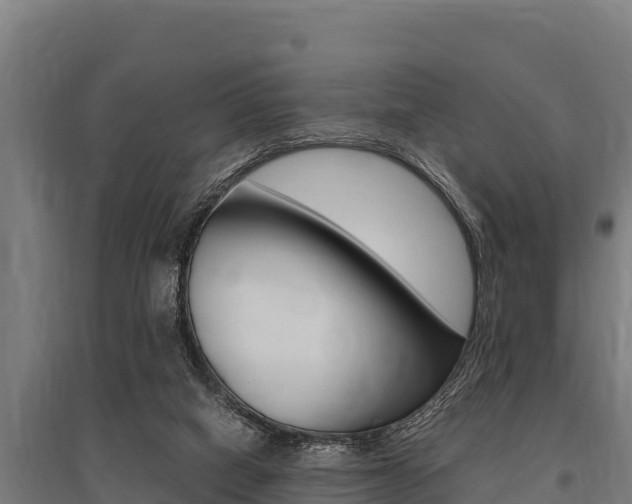 X0000096140066200801180901