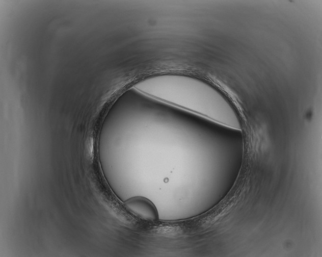 X0000096140067200801180901