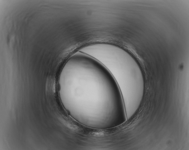 X0000096140068200801180901