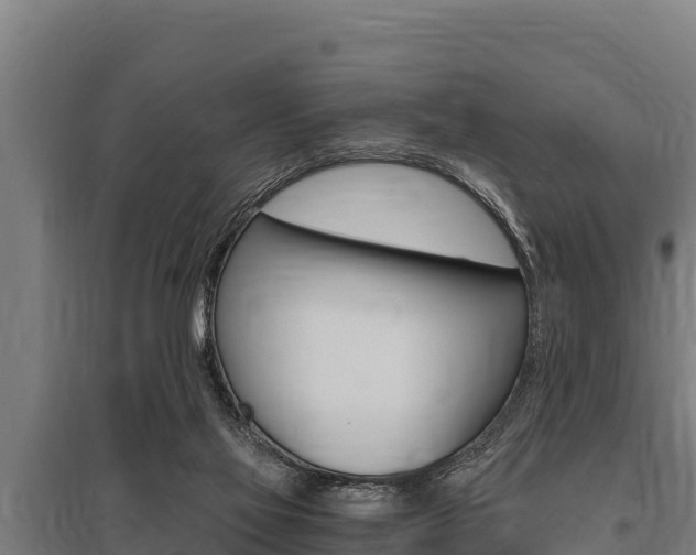 X0000096140069200801180901