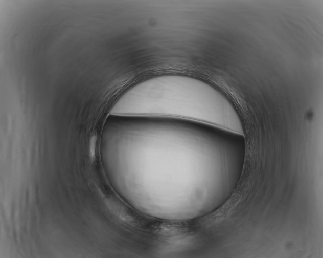 X0000096140070200801180901