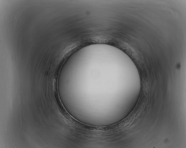 X0000096140071200801180901