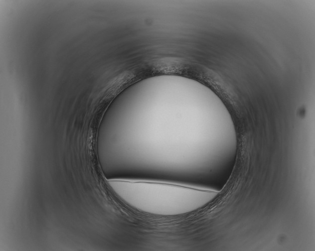 X0000096140073200801180901
