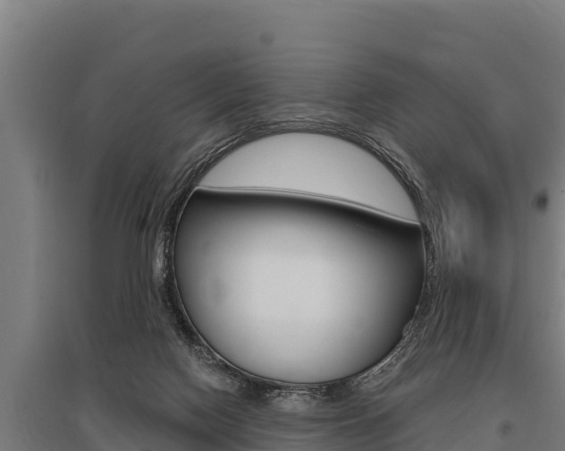 X0000096140074200801180901