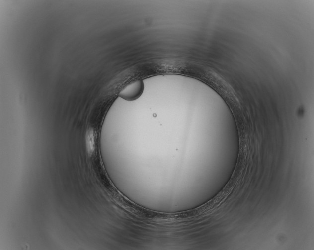 X0000096140075200801180901