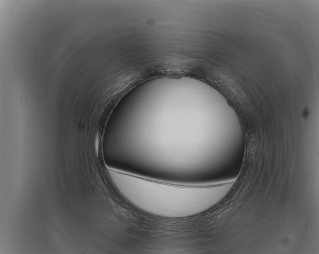 X0000096140076200801180901