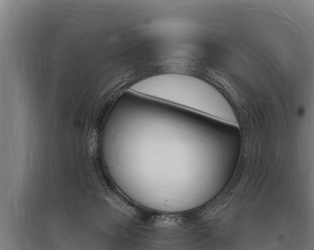 X0000096140077200801180901