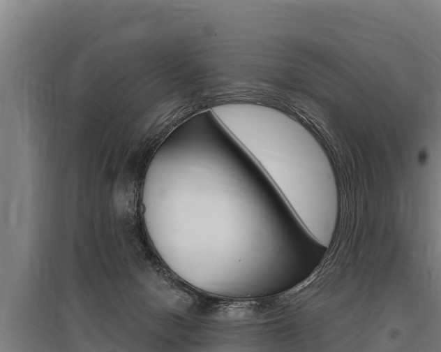 X0000096140078200801180901
