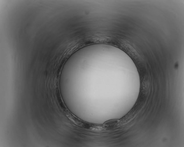 X0000096140079200801180901