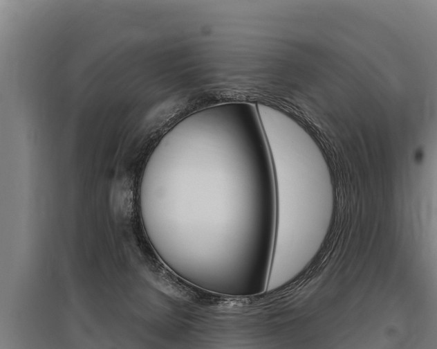 X0000096140080200801180901