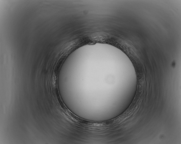 X0000096140081200801180901