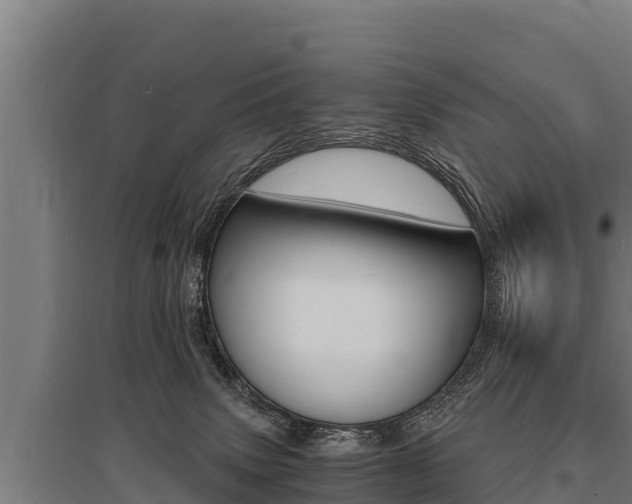 X0000096140083200801180901