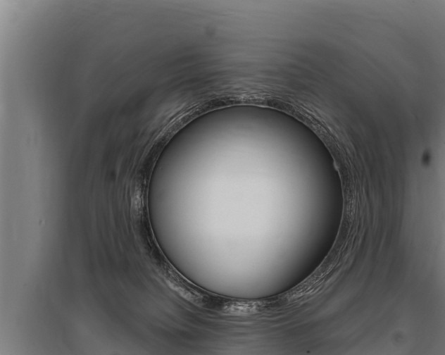 X0000096140084200801180901