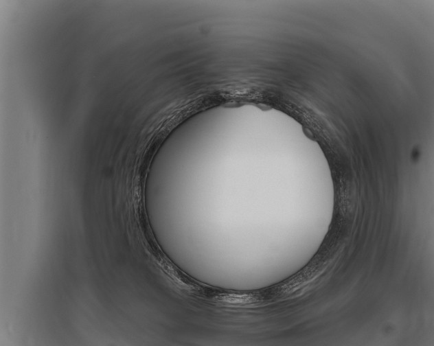 X0000096140085200801180901