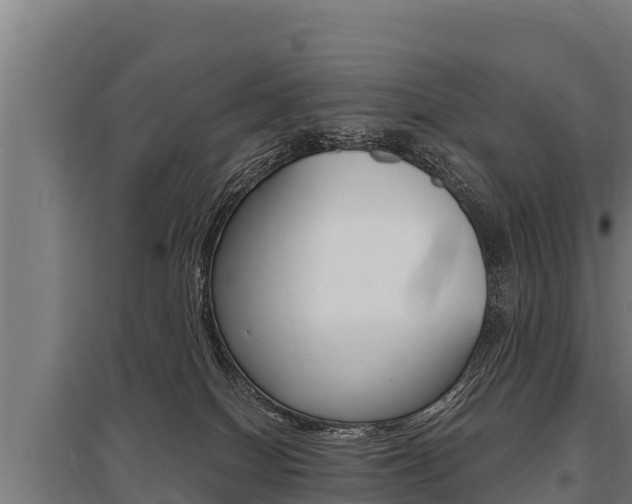 X0000096140086200801180901
