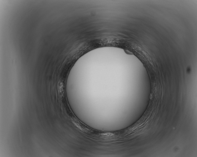 X0000096140087200801180901
