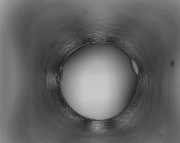X0000096140088200801180901