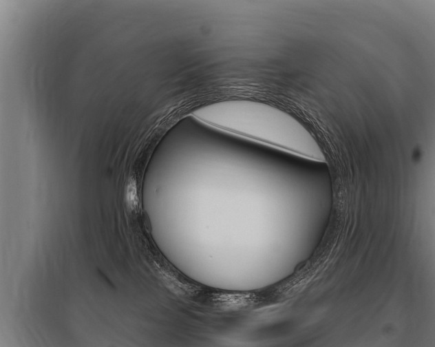 X0000096140089200801180901