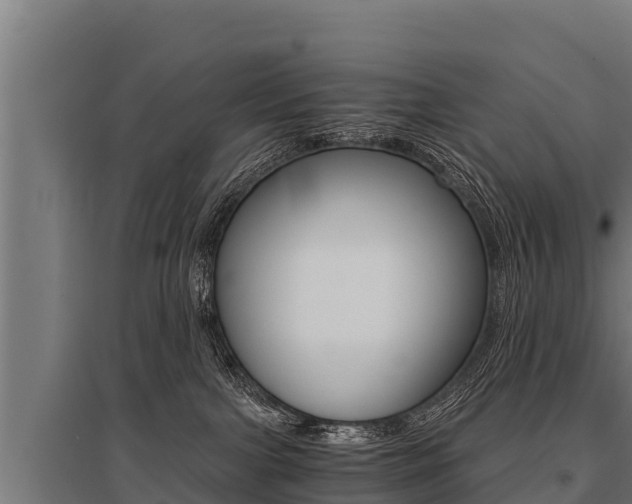 X0000096140091200801180901