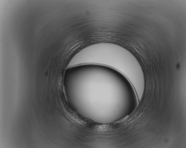 X0000096140092200801180901