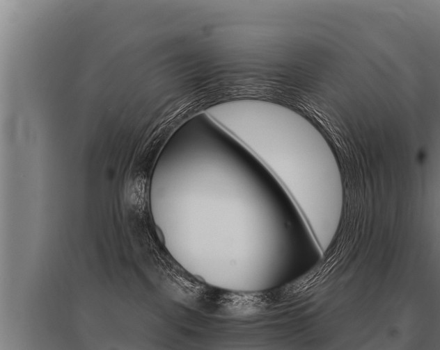 X0000096140093200801180901