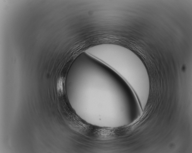 X0000096140094200801180901