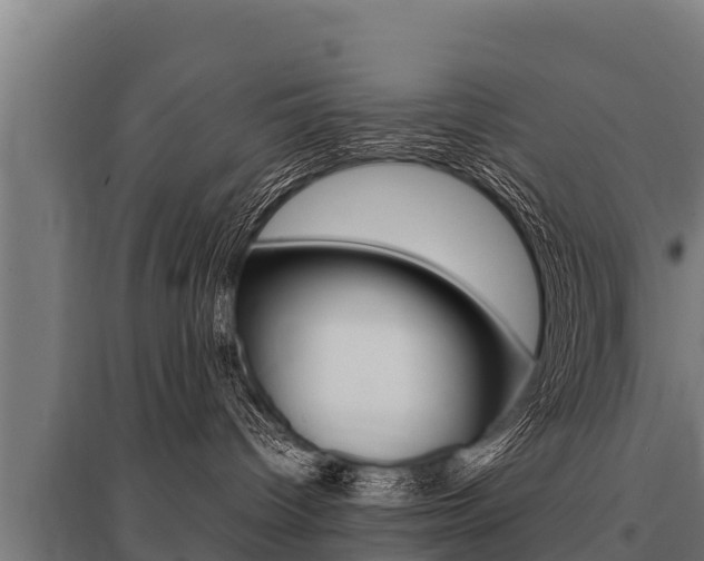 X0000096140096200801180901